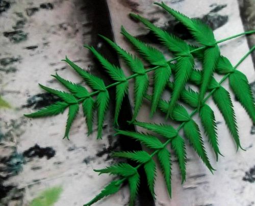 Ангел из фоамирана: подхваты для штор и папоротник, маски и рамки, шишка и дерево, звезда и черника, зелень (фоамирана, вырезать, шаблон) Ангел из фоамирана: подхваты для штор и папоротник, маски и рамки, шишка и дерево, звезда и черника, зелень