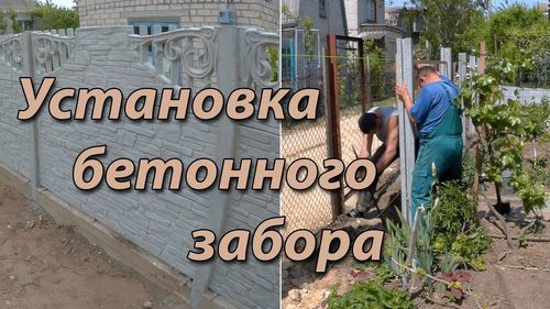 Бетонный забор (61 фото): железобетонное ограждение и изделие из бетона, универсальная конструкция из плиты и панелей, краска для ворот (забор, бетонный) Бетонный забор (61 фото): железобетонное ограждение и изделие из бетона, универсальная конструкция из плиты и панелей, краска для ворот