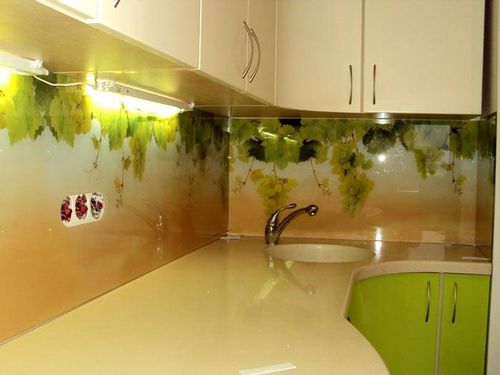 Фартук для кухни из стекла: каталог, фото оригинальных идей (фартук, панель) Фартук для кухни из стекла: каталог, фото оригинальных идей