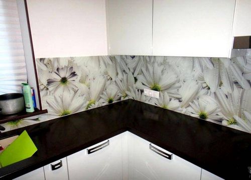 Фартук для кухни из стекла: каталог, фото оригинальных идей (фартук, панель) Фартук для кухни из стекла: каталог, фото оригинальных идей
