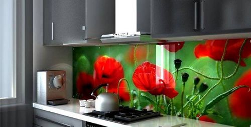 Фартук для кухни из стекла: каталог, фото оригинальных идей (фартук, панель) Фартук для кухни из стекла: каталог, фото оригинальных идей