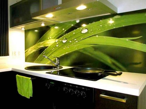 Фартук для кухни из стекла: каталог, фото оригинальных идей (фартук, панель) Фартук для кухни из стекла: каталог, фото оригинальных идей