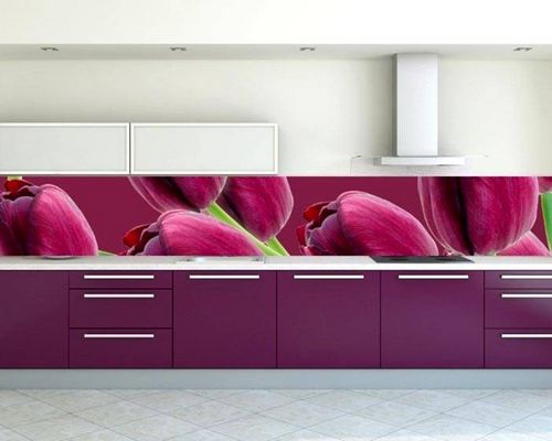 Фартук для кухни из стекла: каталог, фото оригинальных идей (фартук, панель) Фартук для кухни из стекла: каталог, фото оригинальных идей