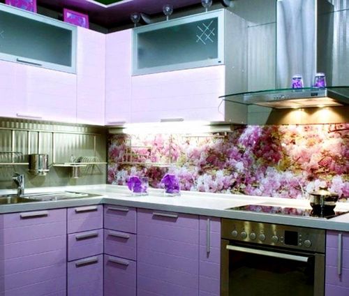 Фартук для кухни из стекла: каталог, фото оригинальных идей (фартук, панель) Фартук для кухни из стекла: каталог, фото оригинальных идей