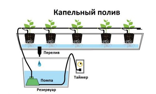 Гидропоника своими руками (гидропоника, горшок) Гидропоника своими руками