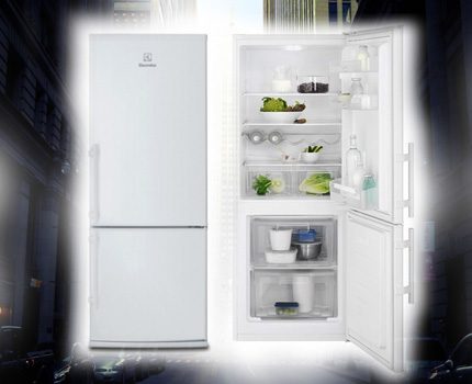 Холодильники «Электролюкс» (Electrolux): отзывы, советы по выбору + лучшие модели