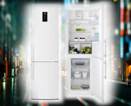 Холодильники «Электролюкс» (Electrolux): отзывы, советы по выбору + лучшие модели