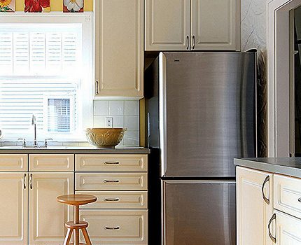 Холодильники «Электролюкс» (Electrolux): отзывы, советы по выбору + лучшие модели