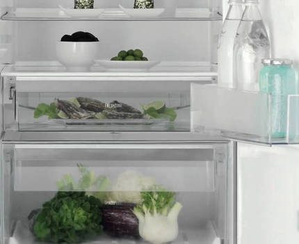 Холодильники «Электролюкс» (Electrolux): отзывы, советы по выбору + лучшие модели