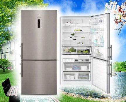 Холодильники «Электролюкс» (Electrolux): отзывы, советы по выбору + лучшие модели
