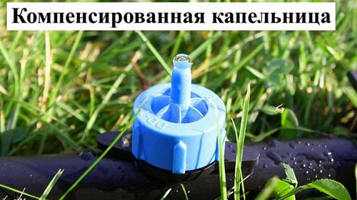 Капельный полив в теплице своими руками: секреты выбора и монтаж
