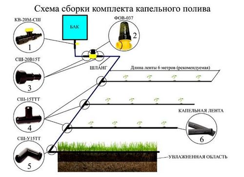 Капельный полив в теплице своими руками: секреты выбора и монтаж