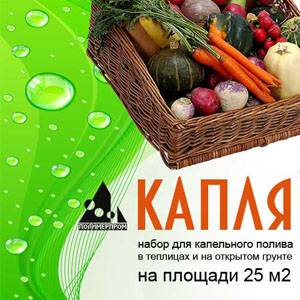 Капельный полив в теплице своими руками: секреты выбора и монтаж