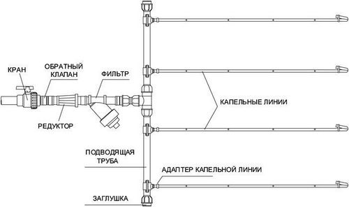 Капельный полив в теплице своими руками: секреты выбора и монтаж
