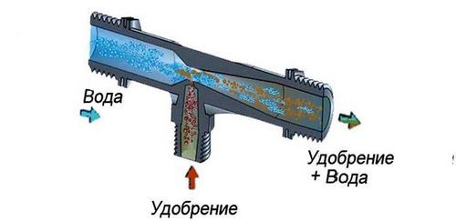 Капельный полив в теплице своими руками: секреты выбора и монтаж