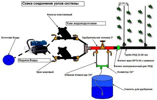 Капельный полив в теплице своими руками: секреты выбора и монтаж