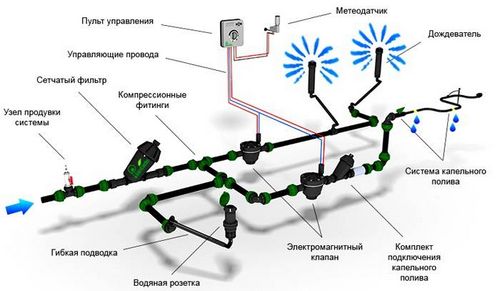 Капельный полив в теплице своими руками: секреты выбора и монтаж