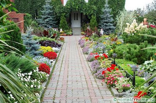 Каталог многолетних цветов для дачи: фото с названиями (растение, посадка) Каталог многолетних цветов для дачи: фото с названиями