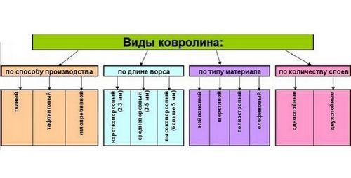 Ковровое покрытие на пол для дома: цены, как выбрать, плюсы и минусы