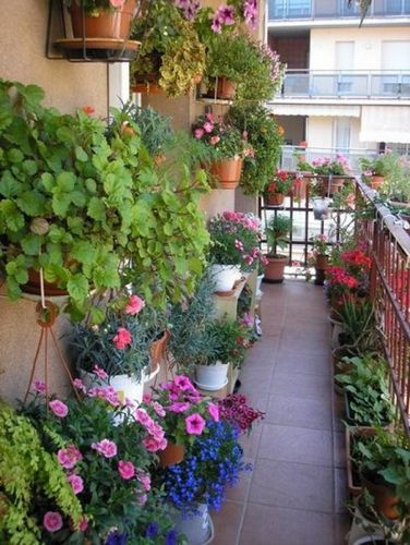 Красивые балконы (78 фото): идеи оформления изнутри и уютный дизайн отделки лоджий (балкон, интерьер) Красивые балконы (78 фото): идеи оформления изнутри и уютный дизайн отделки лоджий
