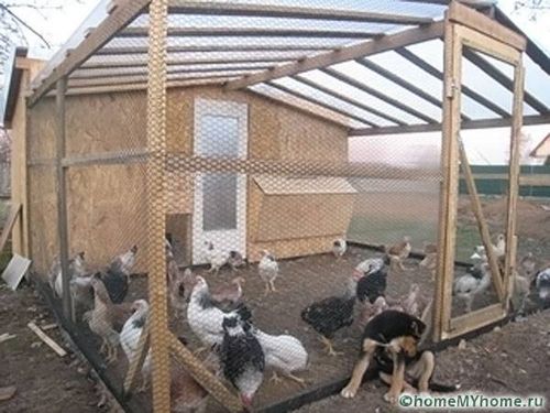 Курятник своими руками на 10 кур - пошаговая инструкция (курятник, стен) Курятник своими руками на 10 кур - пошаговая инструкция