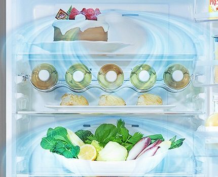 Обзор модельного ряда и функций холодильников "Beko" (Беко)
