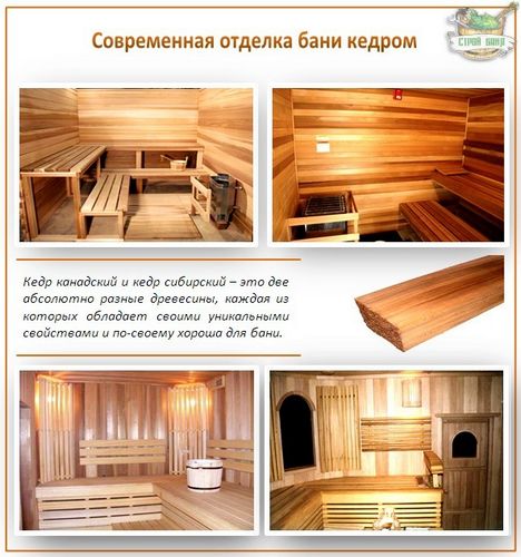 Отделка бани внутри - фото подборка интересных вариантов