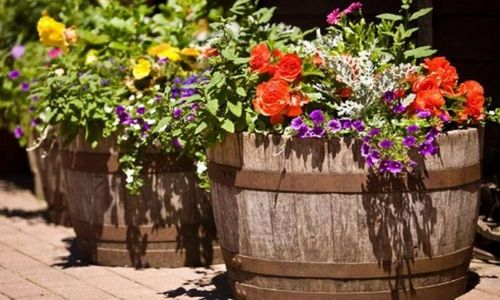 Поделки из дерева для дачи + фото (деревянный, дерево, поделка) Поделки из дерева для дачи + фото