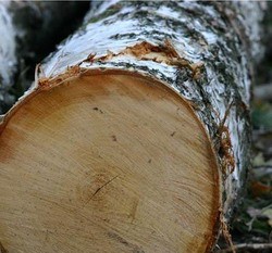 Поделки из дерева своими руками