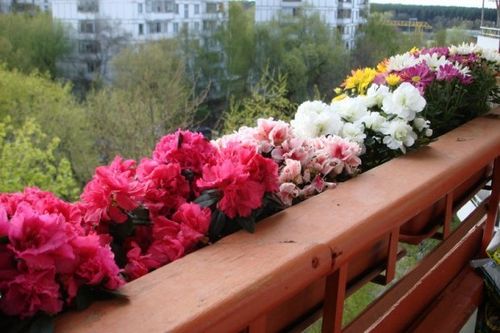 Правила содержания балконов, юридические нормы эксплуатации лоджий (балкон, лоджия) Правила содержания балконов, юридические нормы эксплуатации лоджий