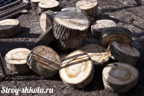 Садовые дорожки из дерева своими руками: Фотографии и Видео! (дорожка, дерево) Садовые дорожки из дерева своими руками: Фотографии и Видео!