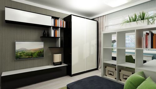 Шкаф-купе глубина 40 см (75 фото): стандартная и минимальная 30, 35, 45, 50, 55 см для верхней одежды (шкаф, двери, глубина) Шкаф-купе глубина 40 см (75 фото): стандартная и минимальная 30, 35, 45, 50, 55 см для верхней одежды