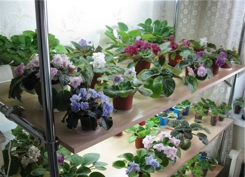 Стеллаж для балкона: как сделать своими руками из дерева, металлический, фото (стеллаж, балкон) Стеллаж для балкона: как сделать своими руками из дерева, металлический, фото
