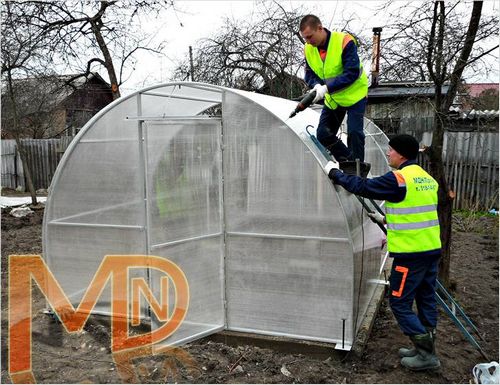 Теплицы от компании МДН-Пром (теплица, парник) Теплицы от компании МДН-Пром