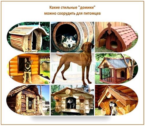 Участок перед баней: как обустроить красивый двор