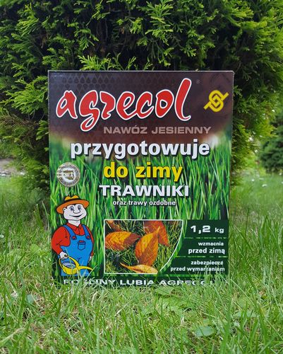 Укладка газона (49 фото): как укладывают покрытие на даче своими руками, какую траву можно посадить, ландшафтный дизайн и примеры лужаек с грядками (газон, участок, трава) Укладка газона (49 фото): как укладывают покрытие на даче своими руками, какую траву можно посадить, ландшафтный дизайн и примеры лужаек с грядками