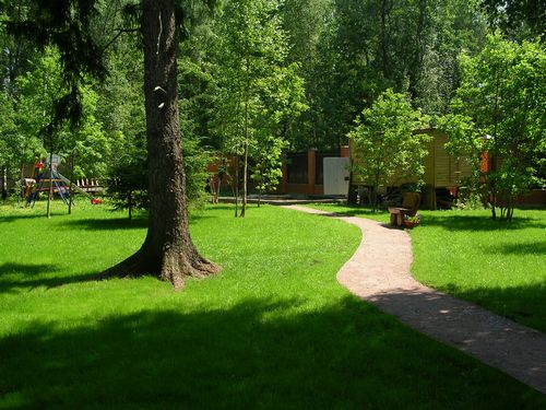 Укладка газона (49 фото): как укладывают покрытие на даче своими руками, какую траву можно посадить, ландшафтный дизайн и примеры лужаек с грядками (газон, участок, трава) Укладка газона (49 фото): как укладывают покрытие на даче своими руками, какую траву можно посадить, ландшафтный дизайн и примеры лужаек с грядками