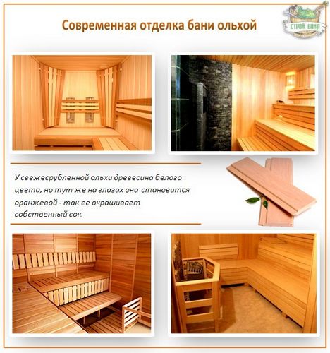 Внутренняя отделка парной бани своими руками - весь процесс от А до Я