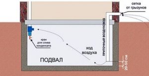 Вытяжка из погреба в гараже – нюансы реализации (вентиляция, гараж) Вытяжка из погреба в гараже – нюансы реализации