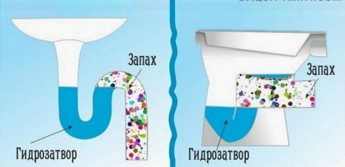 Запах из канализации – откуда взялся и что делать (канализация, сифон, запах) Запах из канализации – откуда взялся и что делать