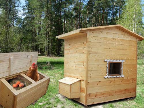 Зимний курятник на 20 кур своими руками: чертежи, этапы возведения